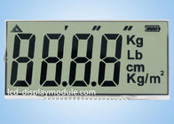 20 Metal PIN Twisted Nematic Display Untuk Skala Elektronik ISO14001 Disetujui